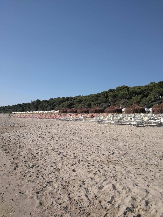Alloggio Vista Mare - Parcheggio Gratis Pineto Εξωτερικό φωτογραφία
