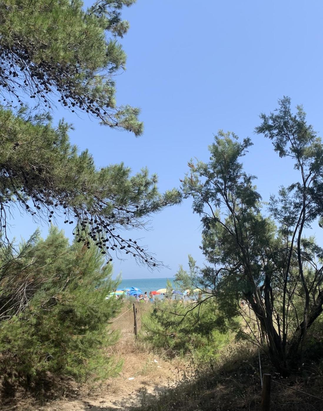 Alloggio Vista Mare - Parcheggio Gratis Pineto Εξωτερικό φωτογραφία