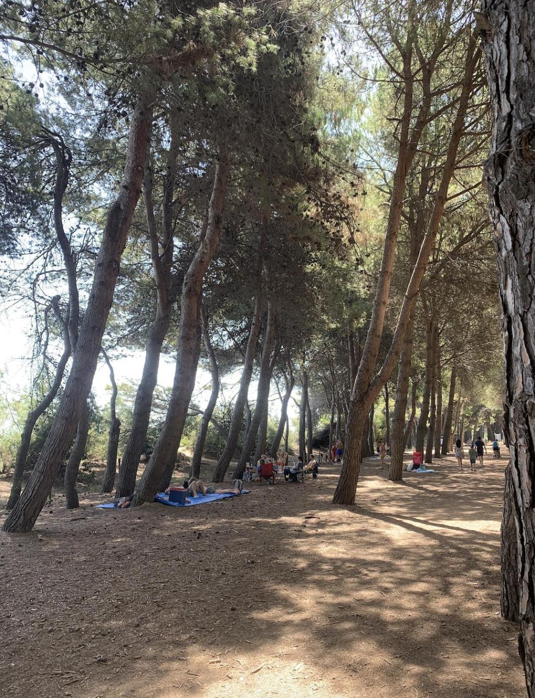 Alloggio Vista Mare - Parcheggio Gratis Pineto Εξωτερικό φωτογραφία